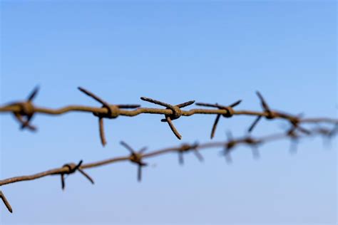 Premium Photo Old Barbed Wire Against The Blue Sky