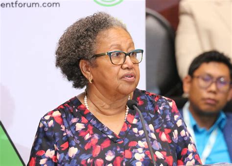 Remarks By Dr Carla Barnett Caricom Secretary General At The Opening