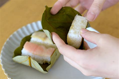 柿の葉寿司 日本の郷土料理とマルミツポテリのうつわ