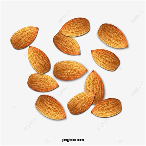 Almond Nuts Png Transparent Nuts Almond Nut Clipart Ts Nut Png