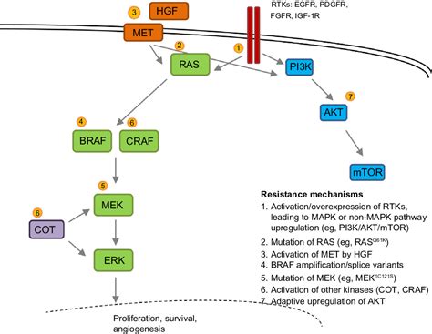 Figure From New Developments In The Treatment Of Metastatic Melanoma