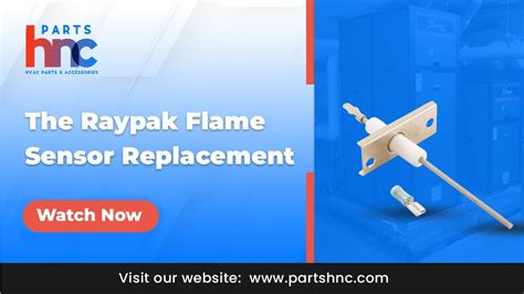 The Raypak Flame Sensor Replacement How To Replace Flame Sensor