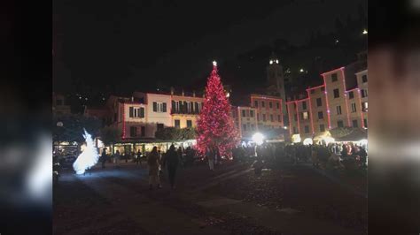 Portofino Si Accende Il Natale Illuminato L Albero Della Piazzetta