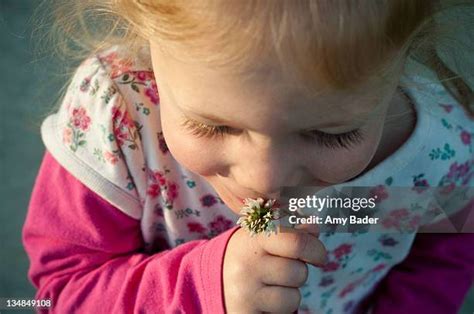 112 Amy Shamrock Stock Photos High Res Pictures And Images Getty Images