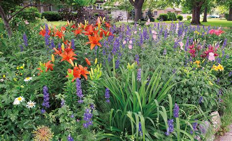 Orange Flowers Border