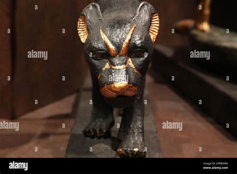 Face of a black panther from Tuankhamun's tomb Stock Photo - Alamy