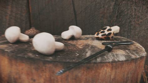 Hand Carved Wooden Morel Mushrooms Prettydreamer