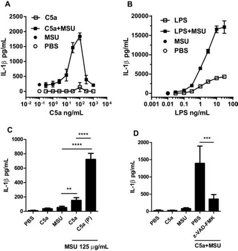 C5a Primes Human Primary Monocytes For Il 1β Production In Response To