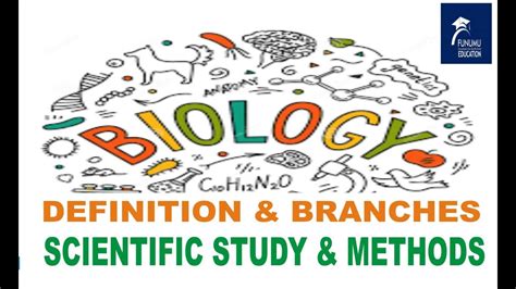 Biology Definition Branches Scientific Study Methods