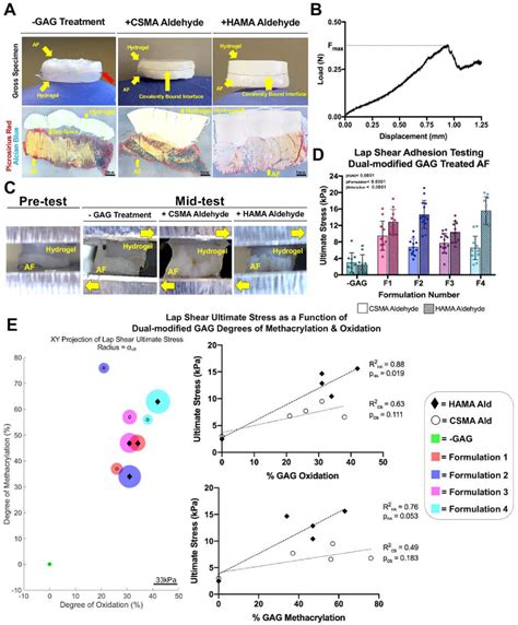 Figure 4 From Development Of A Two Part Biomaterial Adhesive Strategy