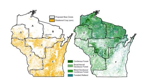 Wisconsin Dnr Board Approves Bear Plan Prohibits Some Hound Hunting