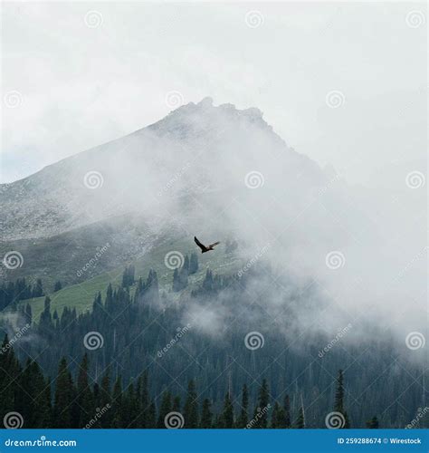 Scenic View Of A Bird Flying Above Green Forests On A Slope Of A