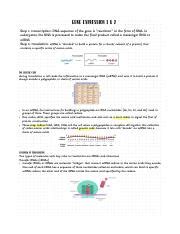 Course Hero Notes.pdf - Gene expression 1 & 2 Step 1: transcription ... 