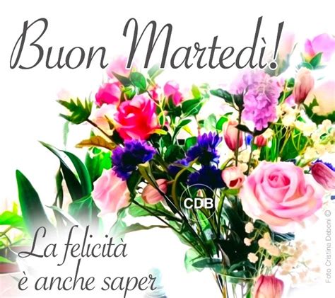 Esplorando Cartoline Cdb Auguri Di Buon Martedi La Felicit