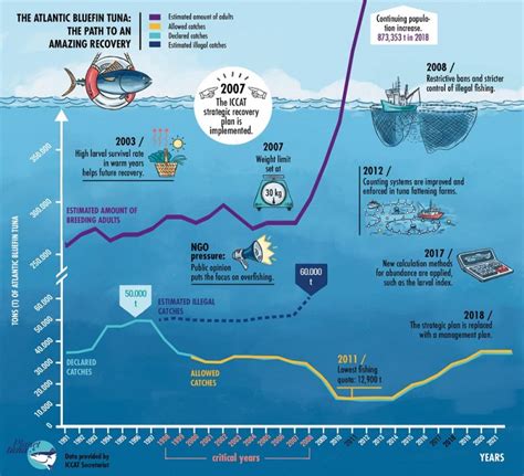 ATLANTIC BLUEFIN TUNA RECOVERY INFOGRAPHICS - Planet tuna