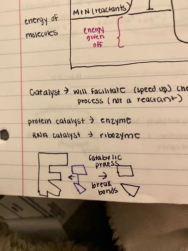 biochemistry Flashcards | Quizlet 