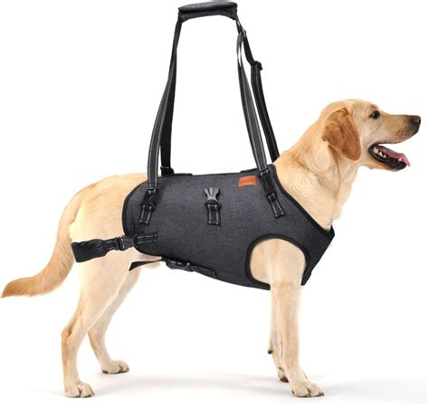 Loobani Dog Lift Harness Full Body Support Sturdy Dog