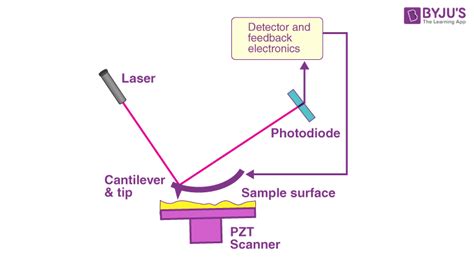 Microscope Buying Guide How To Choose The Right Microscope Conduct