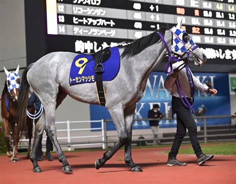 東京シティ競馬tck On Twitter 【64歳的場文男騎手 39度目の正直なるか！】 6月9日に行われる東京ダービーsi👑