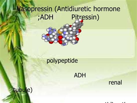 Vasopressin