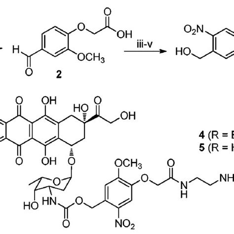 Scheme 1 Synthesis Of Doxorubicin Photocleavable Linker 5 Reagents