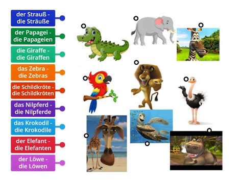 Tiere Labelled Diagram