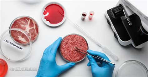 Lab Grown Meat Is Coming To Stores And Restaurants Near You New