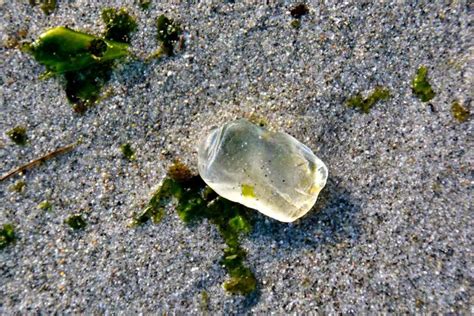 How Much Is Sea Glass Worth Can You Even Sell It