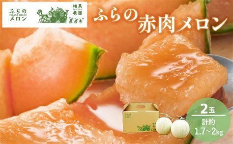 【2025年6月下旬～発送】ふらの 赤肉 メロン 2玉入 約17kg～2kg 北海道 富良野市 相馬農園 メロン フルーツ 果物 新鮮