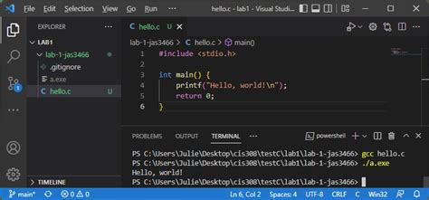 Compiling And Running CIS 308 Textbook