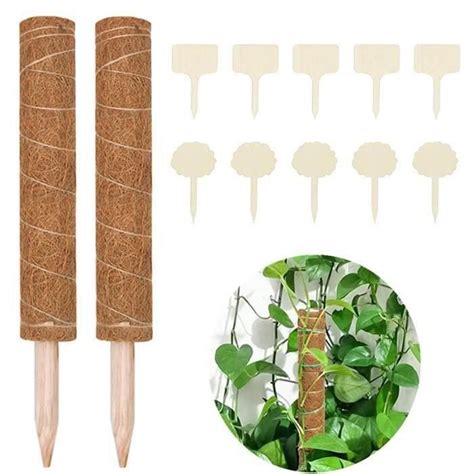 FINE Support Tuteurs pour Plantes Grimpantes 40cm Bâton de Mousse de