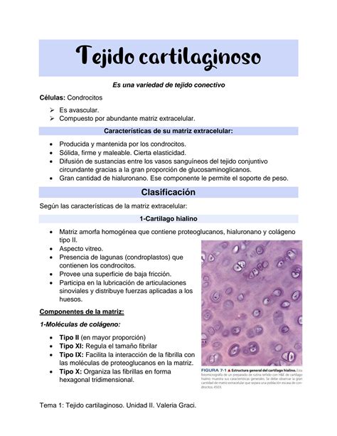 Solution Tejido Cartilaginoso Histolog A Universidad Central De