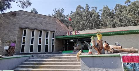 PILARES Joya de Nieves Casas y centros culturales México Sistema de