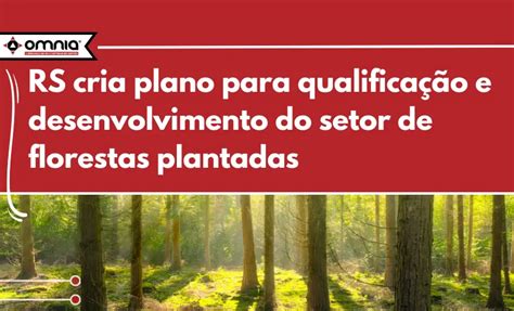 Rio Grande Do Sul Cria Plano Para Qualifica O E Desenvolvimento Do