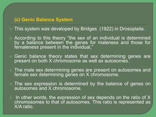 Sex Determination Ppt