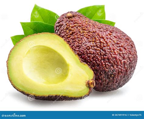 Tiene Frutos De Aguacate Con Hojas Aisladas En Fondo Blanco Foto De