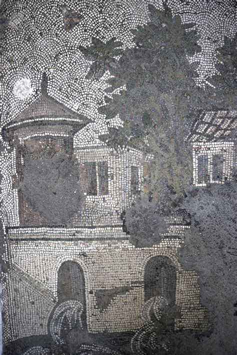 Great Palace Of Constantinople Mosaic Museum Turkish Archaeological News