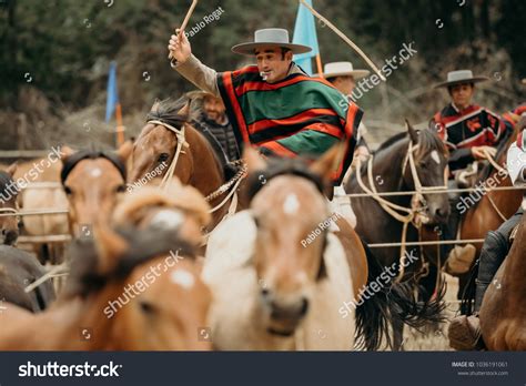 756 Imágenes De Poncho Huaso Imágenes Fotos Y Vectores De Stock