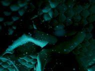 Naked Emma Bing In Punk Love