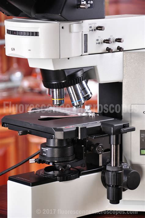 Fluorescence Microscopes Olympus Bx Upright Fluorescence Microscope