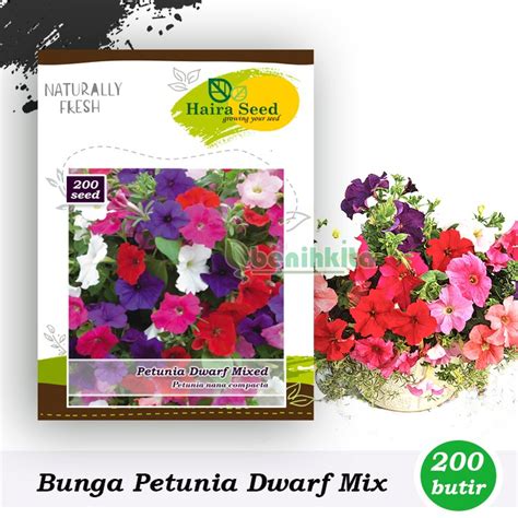 Jual Benih Bibit Bunga Petunia Dwarf Mix Haira Seed Shopee Indonesia