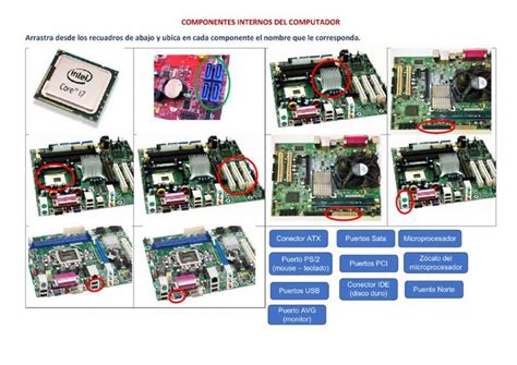 Componentes Internos Del Computador Interactive Worksheet