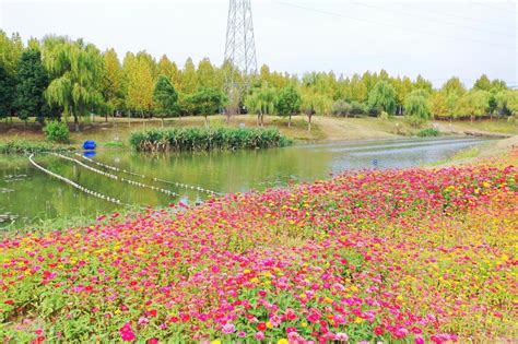 合肥高新区：“河长制”促“河长治” 绘就水清岸绿新画卷 新华丝路