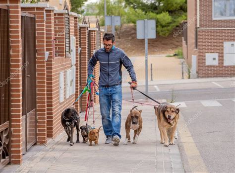 Paseador Profesional De Perros O Ni Era De Mascotas Paseando Un Paquete