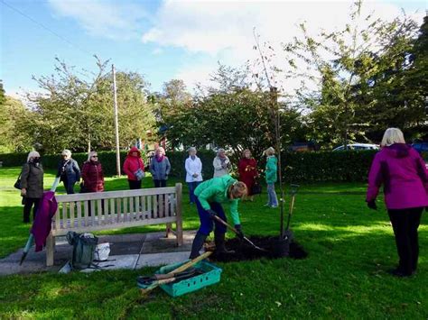 Buglawton Plants Tree To Mark 100th Anniversary Of The Cheshire