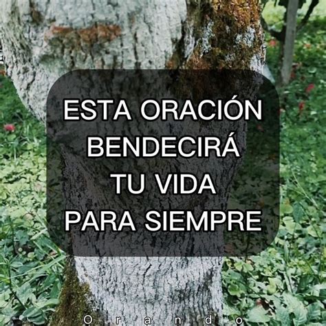 Oración para bendecir tu vida siempre Oración para bendecir tu