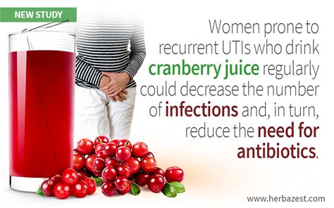 Cranberry Juice Diminishes Need For Antibiotics Antibiotic Cranberry Juice Cranberry