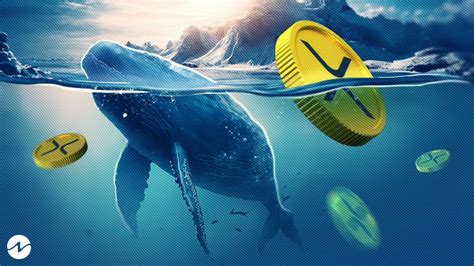 Ripple Xrp Shows Massive Whale Movement Again Bitcoinethereumnews