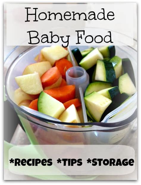 Homemade Baby Food Recipes & Tips