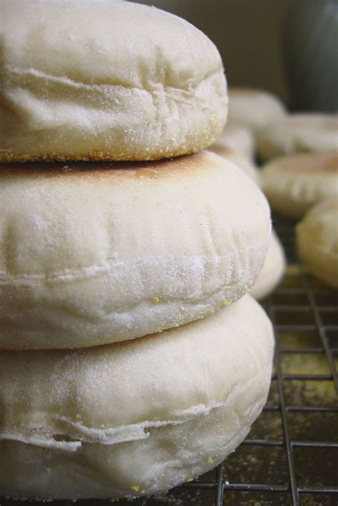 Segunda Entrega De Originales Y Ricas Recetas De Sándwiches Gourmet